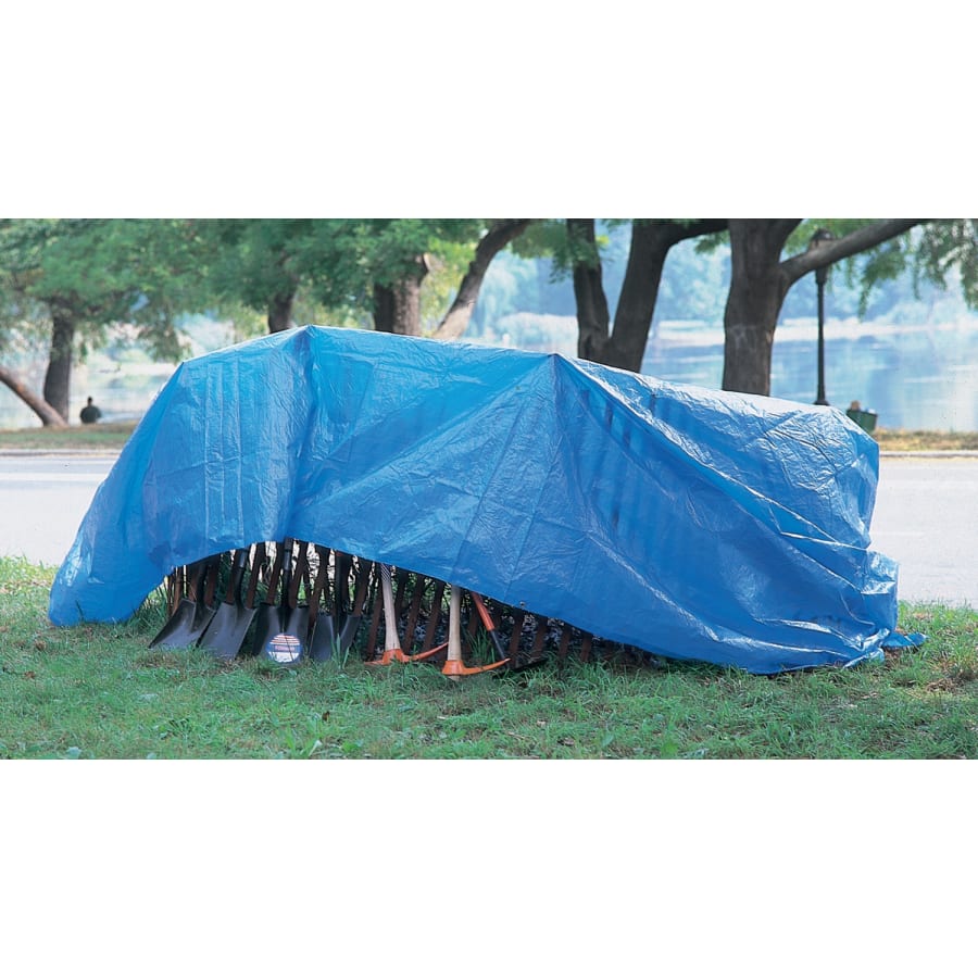 (image for) Coverings