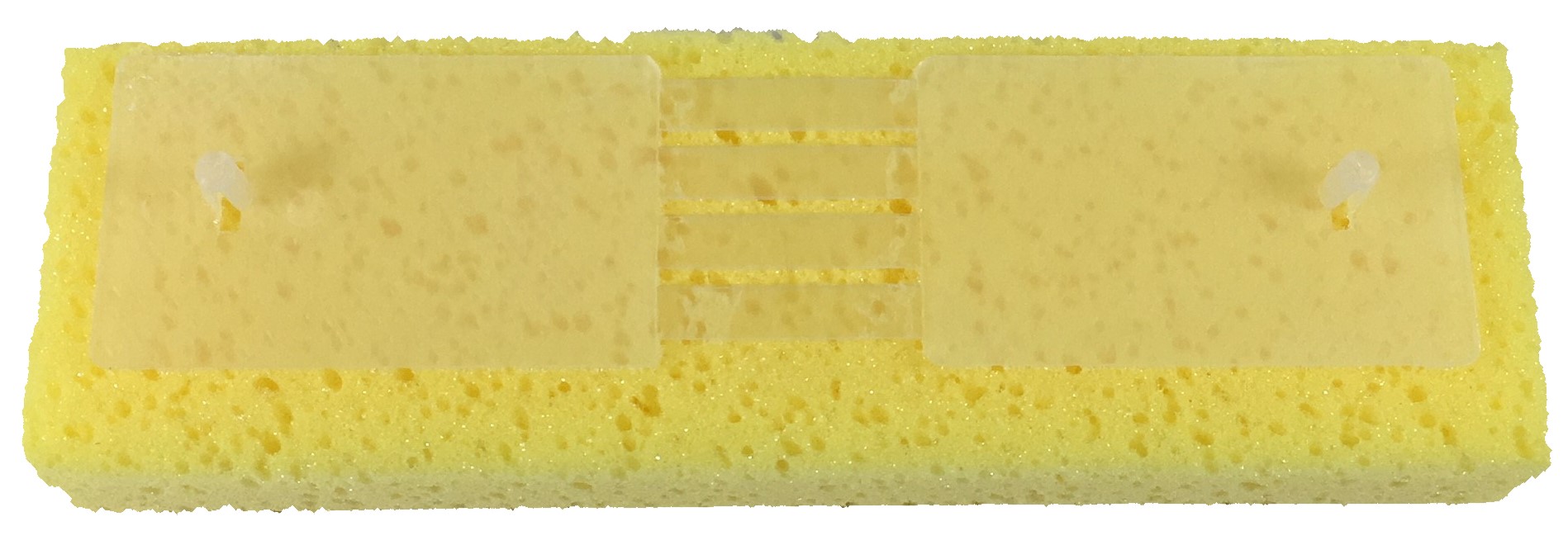 (image for) 8-1/4" Sponge Mop Refill, case of 12