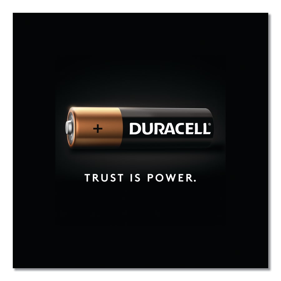 (image for) Duracell CopperTop Alkaline Battery, 1.5V, AAA, Pack of 24