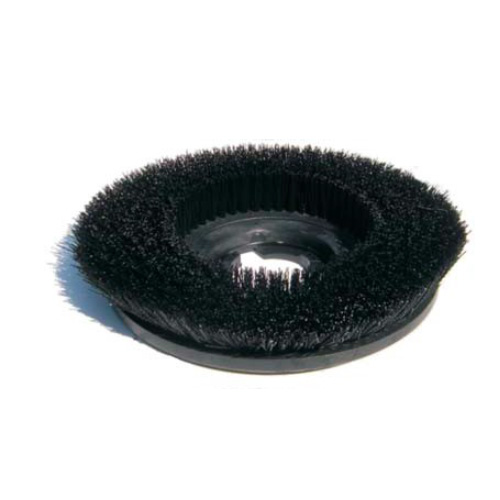 (image for) 10" Nylon Carpet Scrub, case of 1